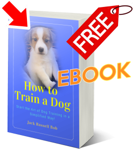 How-to-train-a-Dog-ebook