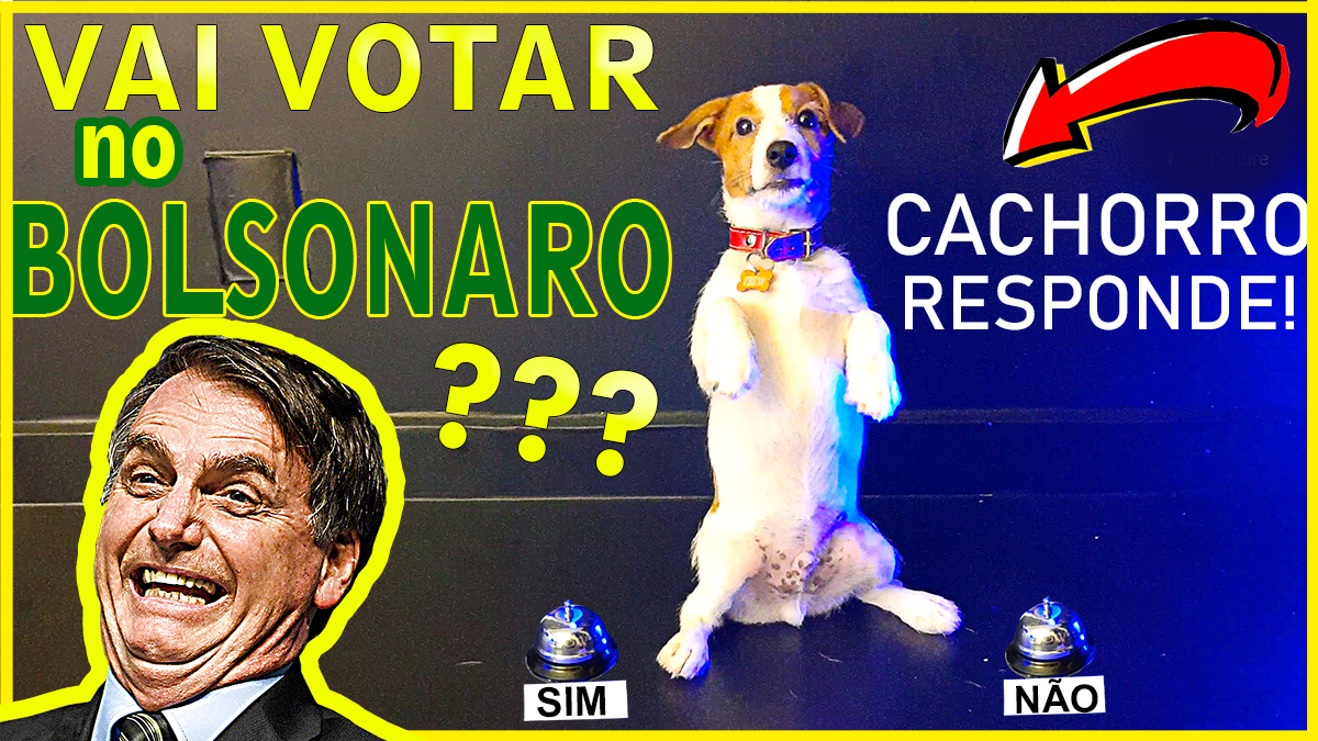 Cachorro-do-Mascara-pergunta-polemica-cachorro-respondendo-tocando-campainha-sino--bolsonaro--JACK-RUSSELL-TERRIER-PUPPY-FILHOTE-TERRA-PLANA-AQUECIMENTO-GLOBAL